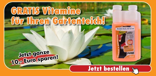 Gratis-Vitamine für Ihren Gartenteich und 10,- Euro sparen!