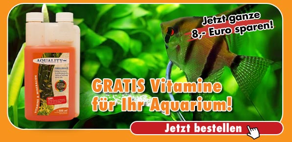 Gratis-Vitamine für Ihr Aquarium und 8,- Euro sparen!