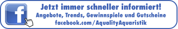 Jetzt auch auf facebook!