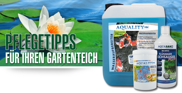3 Pflegetipps für Ihren Gartenteich